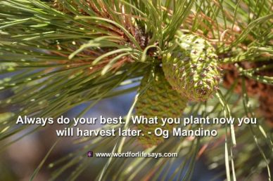 always-do-your-best-001