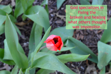 dealing with failure