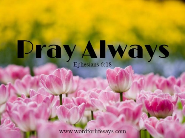 "Pray Always!"  Ephesians 6:18   www.wordforlifesays.com