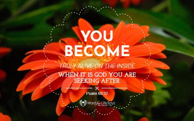 your hearts shall live - pagemodo pic