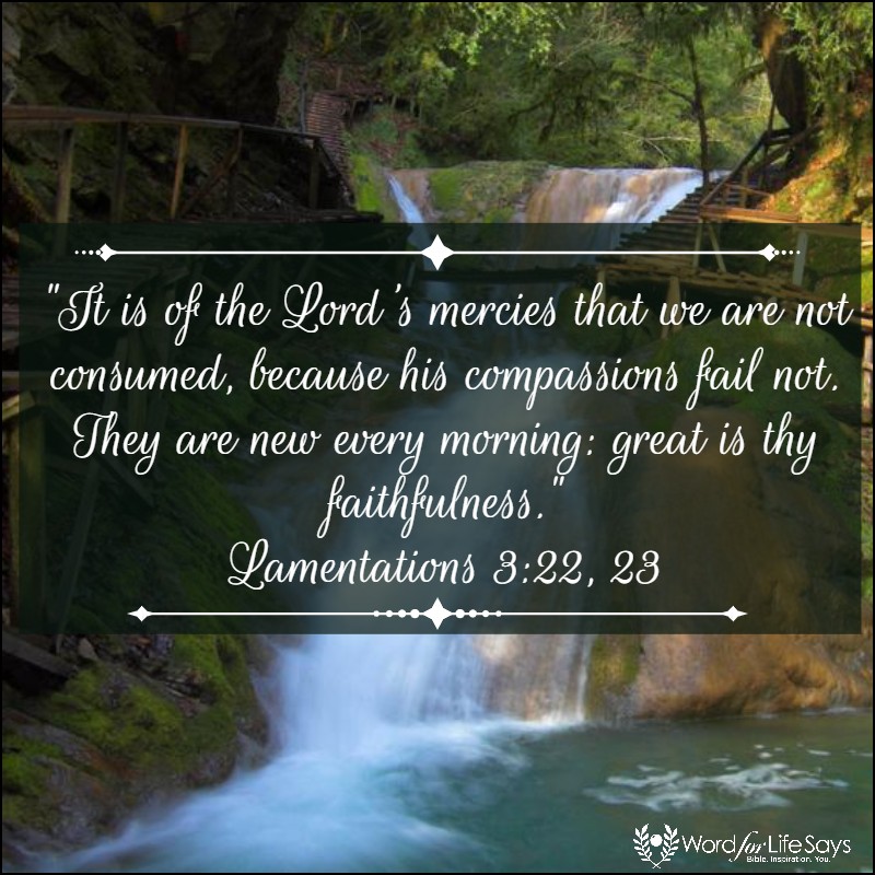 No Stale Salvation - pagemodo pic